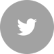 Twitter Link